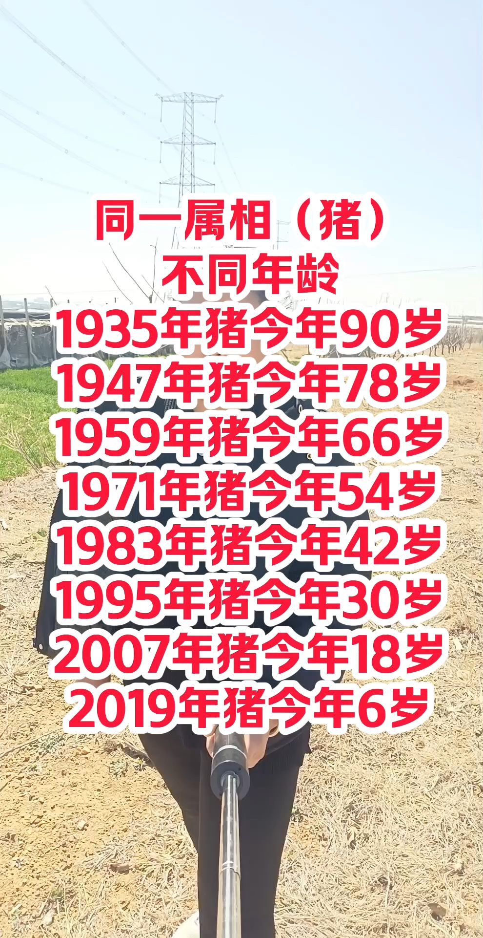 给人取外号叫猪什么？